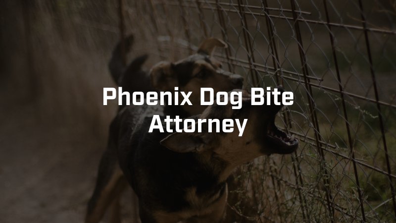 Phoenix Dog Bite Attorney