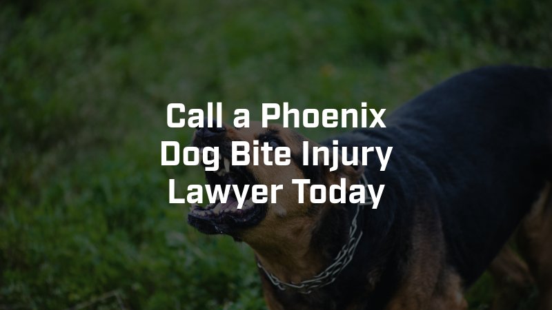 Phoenix Dog Bite Lawyer