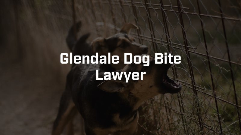 Glendale Dog Bite Lawyer