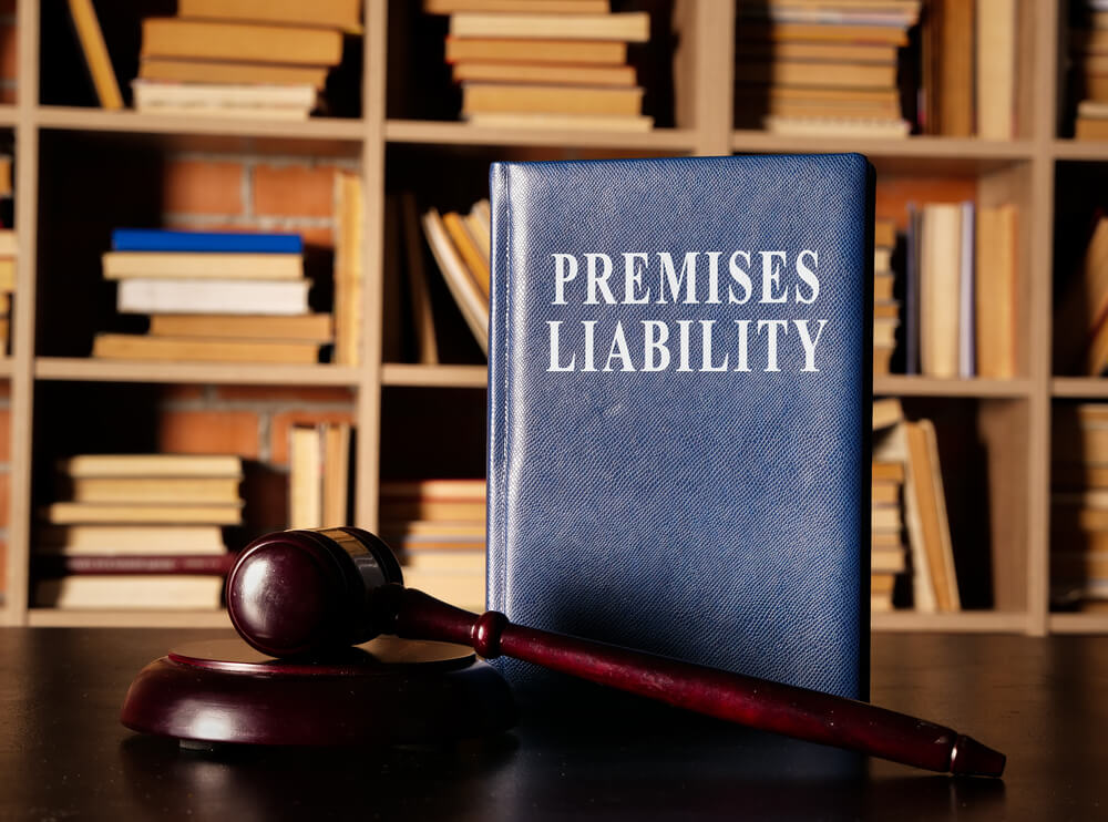 What is a premises liability case? 